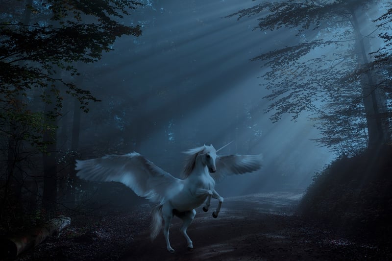 Unicorn-inspired designs
