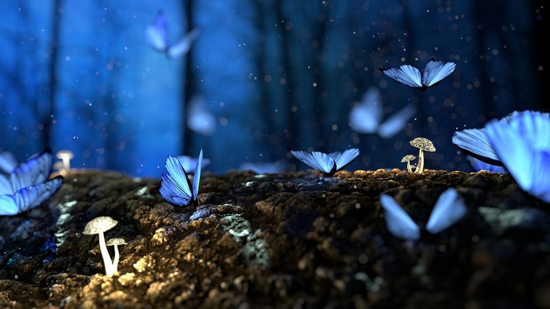 Enchanted Watering Can