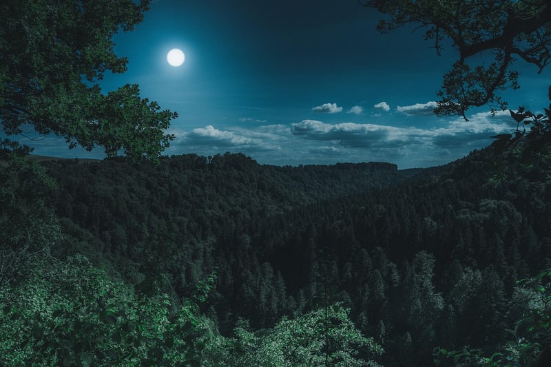 Moon in the Garden